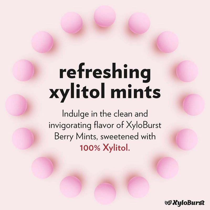 Xyloburst Sugar Free Berry Mints - Image 4